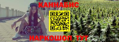 apvp Гусев