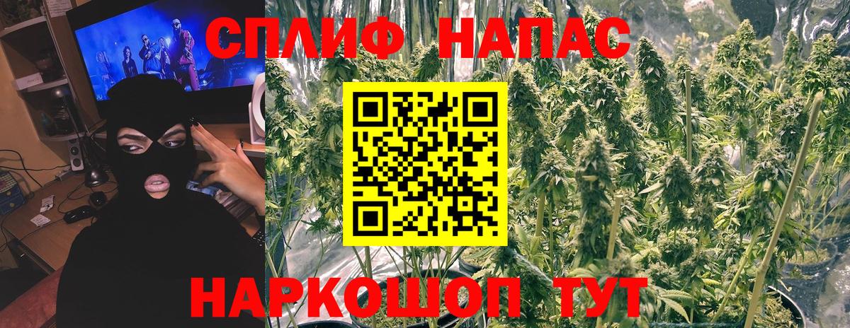 Каннабис ГИДРОПОН Ржев